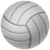 Balon de voleibol