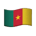 🇨🇲 Флаг Камеруна