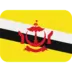 Brunein Lippu