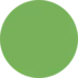 Círculo verde