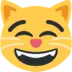 Cara de gato com sorriso a mostrar os dentes
