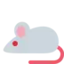 小鼠
