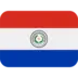 Vlag Van Paraguay