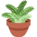 Potplant