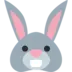 ウサギの顔