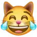 ख़ुशी के आँसू वाला बिल्ली का चेहरा