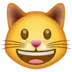 ख़ुश बिल्ली का चेहरा