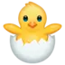 Kurczaczek Wykluwający Się Z Jajka