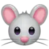 चूहे का चेहरा