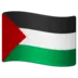 Vlag Van De Palestina