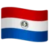 Paraguayn Lippu