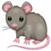 Ratte