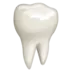 दाँत