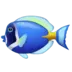 Tropischer Fisch