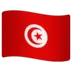 Tunisian Lippu