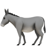 Donkey on Apple