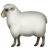 Schaap on Apple