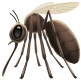 🦟 Mosquito Emoji on Apple macOS and iOS iPhones