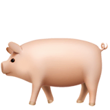 Свинья Эмодзи на Apple macOS и iOS iPhone