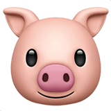 Pig Face on Apple