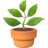 Potted Plant Emoji on Apple macOS and iOS iPhones