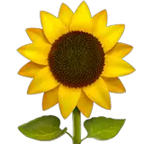 Sunflower Emoji on Apple macOS and iOS iPhones