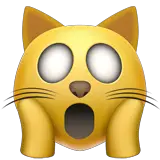 भय से चीख़ती बिल्ली का चेहरा on Apple