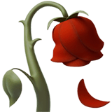 🥀 Mawar Layu Emoji Pada Macos Apel Dan Ios Iphone