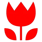 Hoa Tulip on AU by KDDI