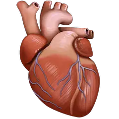 Anatomical Heart Emoji on Facebook