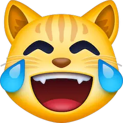 Cat With Tears Of Joy on Facebook