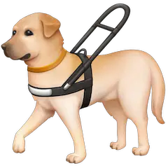 🦮 Guide Dog Emoji on Facebook