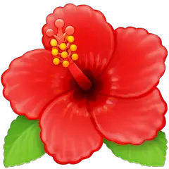 Hibisco on Facebook