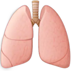 肺 on Facebook