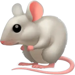🐁 Mouse Emoji on Facebook