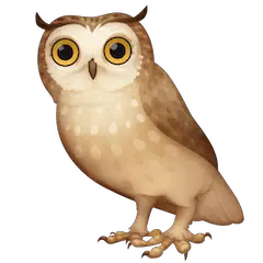 🦉 Owl Emoji on Facebook