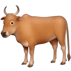 วัวตัวผู้ on Facebook