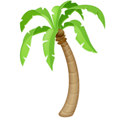 Palm Tree on Facebook