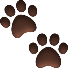 Paw Prints on Facebook