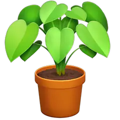Растение в горшке on Facebook