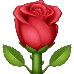 🌹 Rose Emoji on Facebook