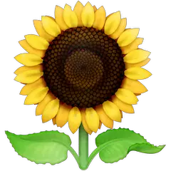 Tournesol on Facebook