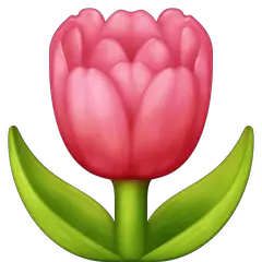 Tulip on Facebook