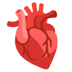 🫀 Анатомическое Сердце Эмодзи на Google Android и Chromebook
