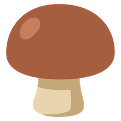 棕色蘑菇 on Google