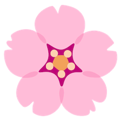 Kirschblüte Emoji Google Android, Chromebook