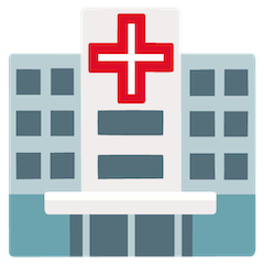 🏥 Krankenhaus Emoji auf Google Android, Chromebook