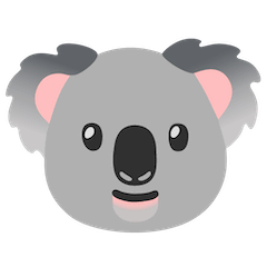 🐨 Muso di koala Emoji su Google Android, Chromebooks