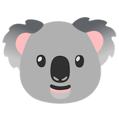 Koala on Google