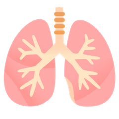 Lungs Emoji on Google Android and Chromebooks